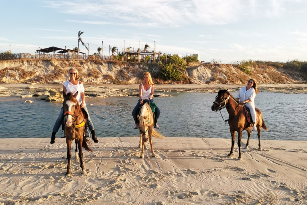 Caval Aventure cours d'equitation et balades